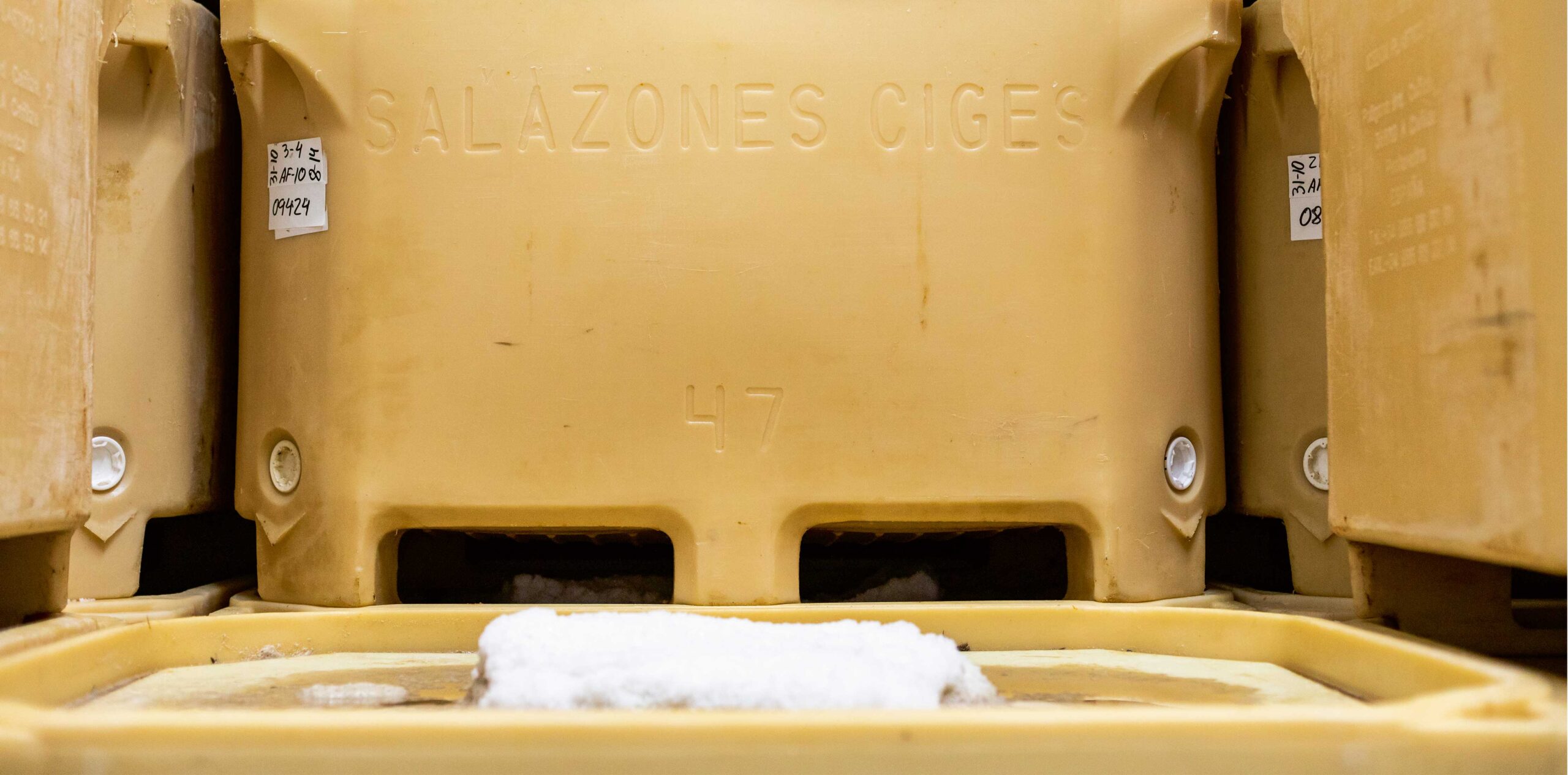 salazones