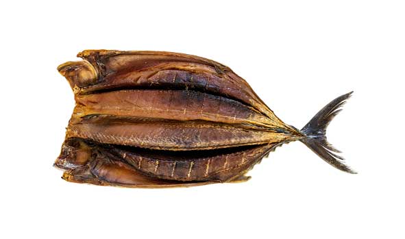 BONITO
