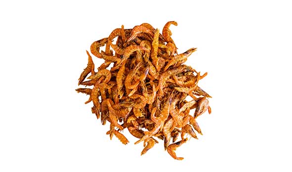 LANGOSTINO