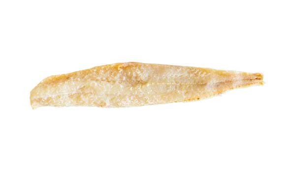 MARUCA