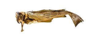 PRECORTADO_stock-fish-bacalao