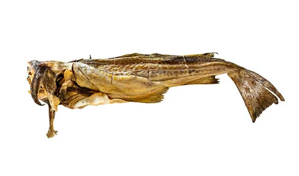 STOCK-FISH-BACALAO